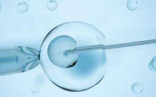 福州试管代生小孩 福州二胎生育津贴标准 ‘胎囊早期看男女’